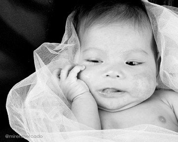 Studio Photography: Newborn